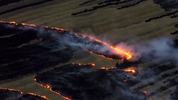 Aerial Footage of Burning Fields in the Krasnodar Territory