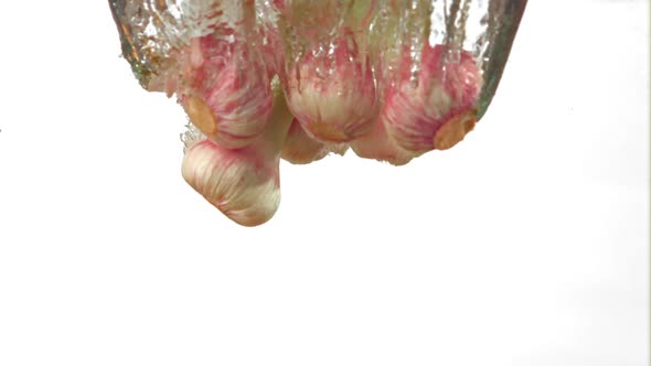 Super Slow Motion of the Head of Garlic Fall Under the Water on a White Background alt