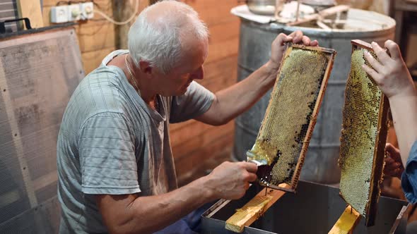 Beekeeper Unseals Honeycomb with a Scraper To Remove Wax and Subtract Honey alt