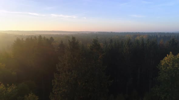 Aerial View of Foggy Morning Forest at Sunrise