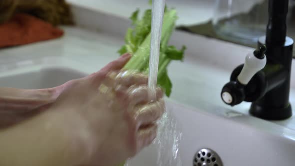 Woman washing celery in sink in kitchen alt