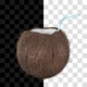 Exotic Coconut Nut - VideoHive Item for Sale
