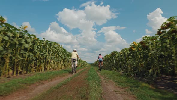 Mom and Daughter Ride Bicycles Along a Country Road alt