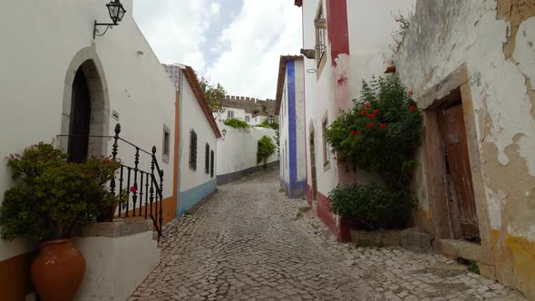Flowers Growing in the Pots that are Placed in one of many Streets in Castle of Óbidos
