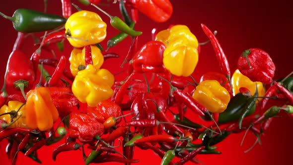 Super Slow Motion Shot of Flying Mixed Chilli Peppers on Red Background at 1000Fps alt