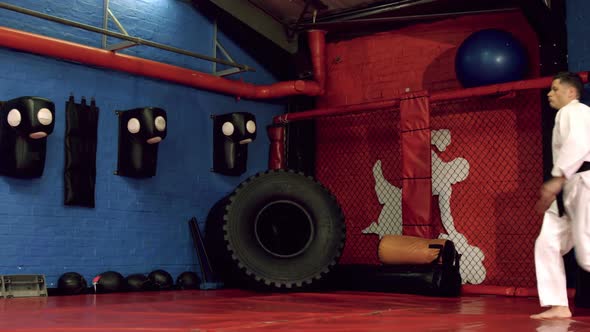 Man practicing karate alt