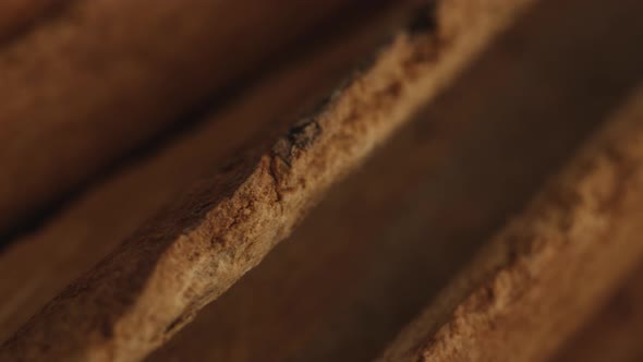 Cinnamon sticks on a dark background alt