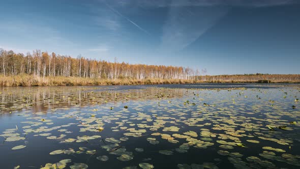 Berezinsky Biosphere Reserve Belarus, Stock Footage | VideoHive