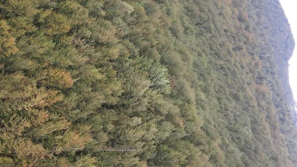 Vertical Video Carpathian Mountains alt