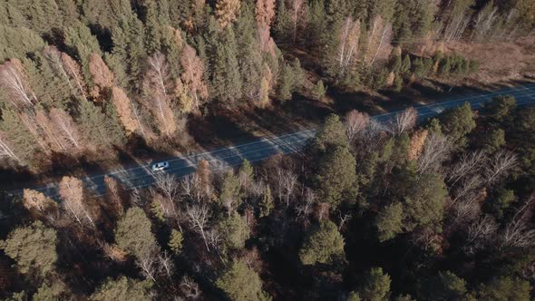 Autumn forest and road with traffic cars in Ural