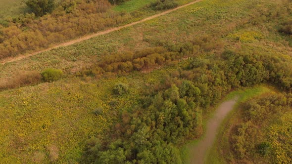 Aerial View Of autumn meadow and trees. Countryside landscape.
