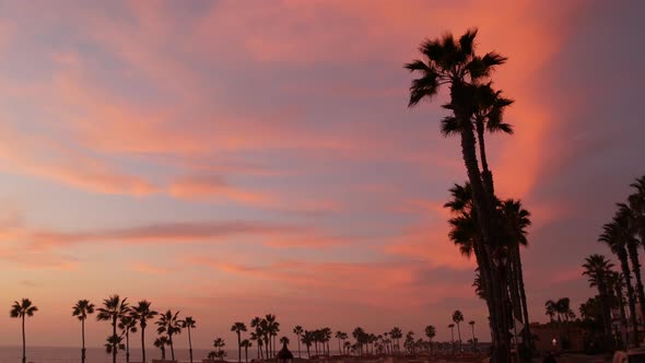 Palms and Twilight Sky in California USA