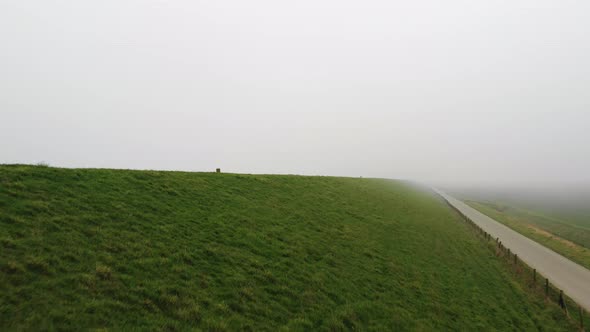 Grassy coast in fog, Yrseke, Zeeland, Netherlands