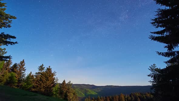 Night Sky Full of Stars with Milky Way Galaxy in Forest Landscape