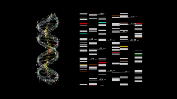 DNA and Genetic map