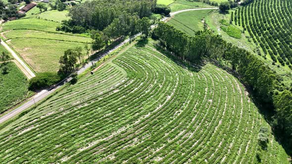 Farming landscape at countryside rural scenery. alt