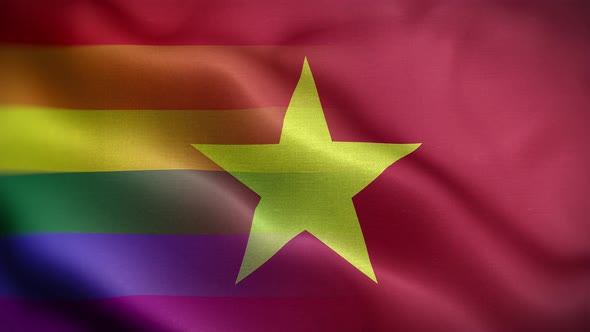 LGBT Vietnam Flag Loop Background 4K