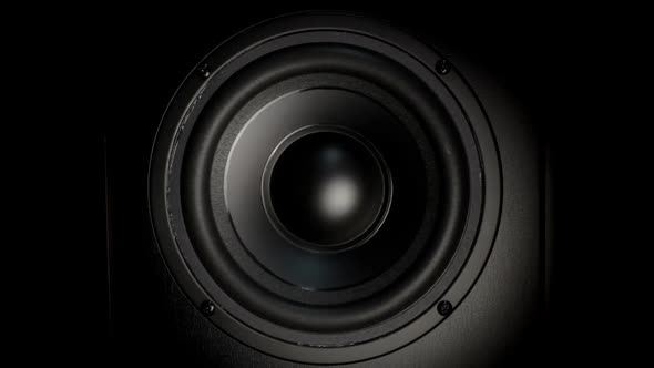 Audio Speakers alt