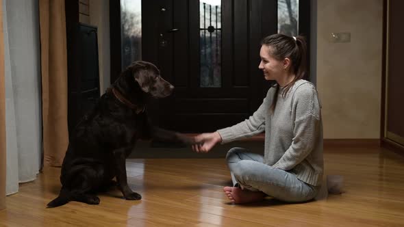 Dog training at home. A young woman asks the dog to obey the command alt