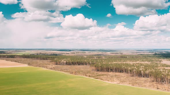 Aerial View Green Pine Forest Deforestation Area Landscape And Agriculrural Field alt
