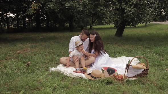 Mom, Dad and Their Young Son on a Picnic in the Park in the Summer