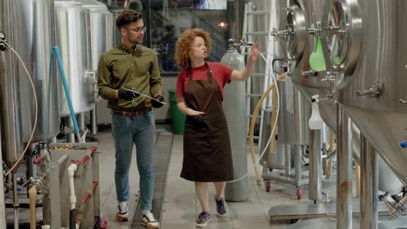 Man and woman working in craft brewery alt