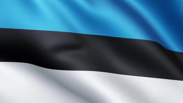 Estonian flag | Flag of Estonia | UHD | 60fps alt