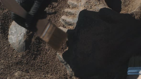 Crop Person Sweeping Dust From Dinosaur alt