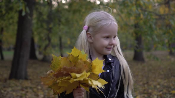 Small Child in the Autumn Park alt