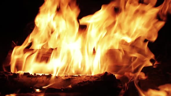 Burning Wood Bonfire at Night