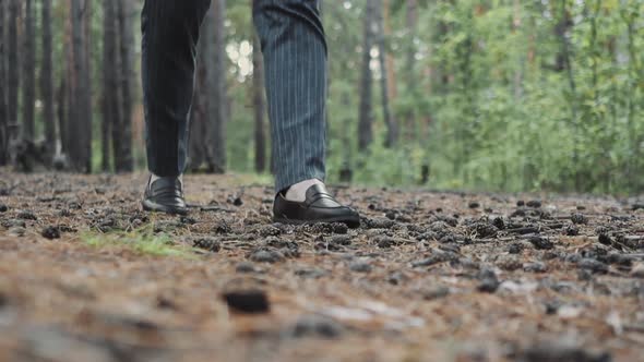 Man in Office Suit and Shoes Kicks Fir Cones in Forest alt