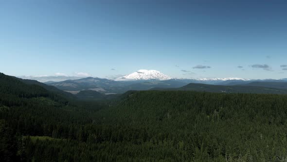 Mount Saint Helens dominates the lush green evergreen trees, Gifford Pinchot National Forest, aerial alt