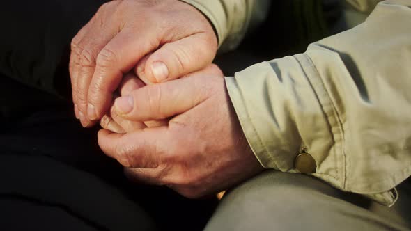 Details Closeup to the Camera Old Mans Hands and alt