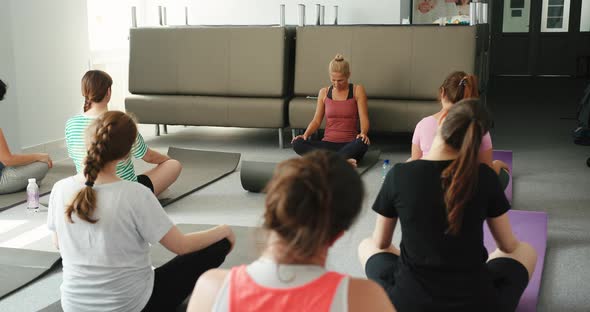 Yoga Class of Pregnant Women Practicing Fitness Enjoying Healthy Lifestyle alt