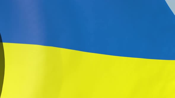 Ukraine Flag alt