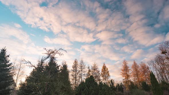 Colorful Fluffy Clouds Moving on a Sunset Sky