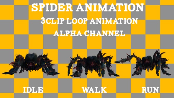Spider 3Clip Loop