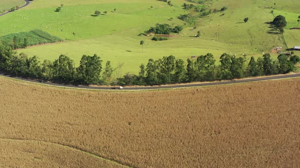 Rural landscape aerial view. Nature scenery alt
