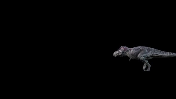 Dinosaur Walk Over Screen alt