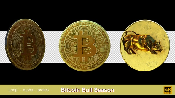 Bitcoin Bull Season alt