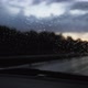 Rain On Windshield - VideoHive Item for Sale