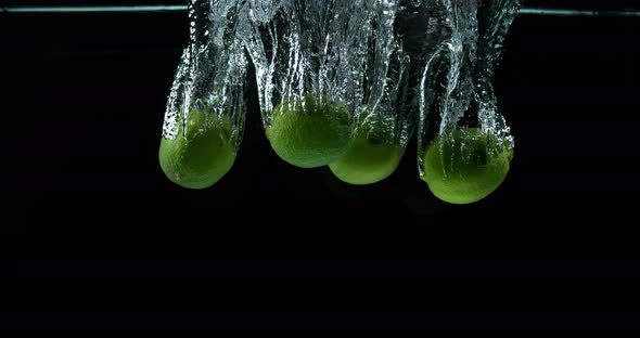 Green Lemons, citrus aurantifolia, Fruits falling into Water against Black Background alt