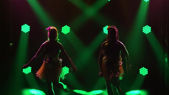 Two Adorable Female Dancers Dance Hawaiian Dance Plasticly Moving Their Bodies and Hips alt