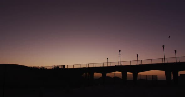 Silhouette of a bird flying over a bridge and street lamps at sunset alt