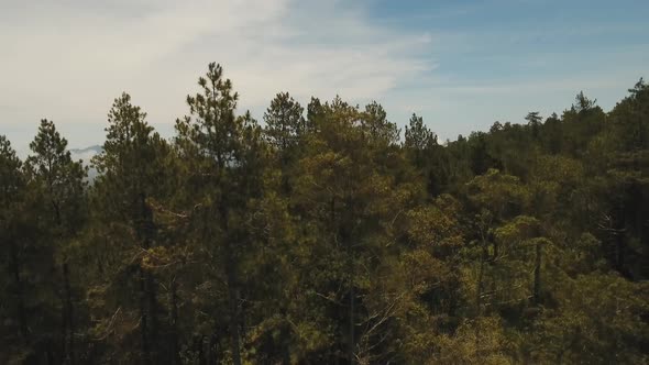 Mountain Landscape with Valley and Village Bali Indonesia alt