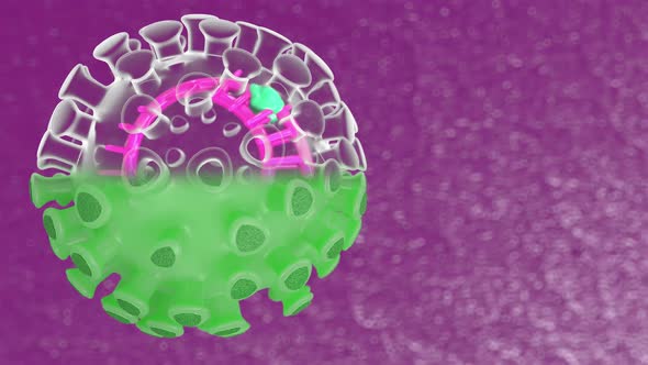 Animation of the movement of a coronavirus model