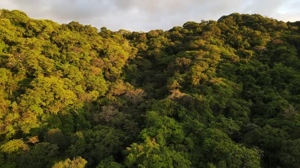 Aerial video of coastal rainforest during colourful sunset. Drone descending anding backwards while alt