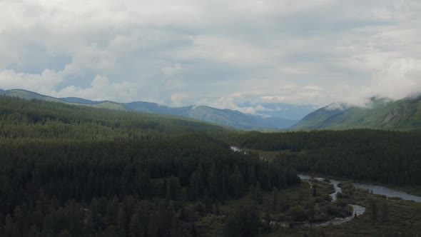 Forest and river in valley of Altai
