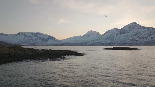 Seagulls And Eurasian Oystercatcher Flying In Slow Motion Over Island In Tromvik, Kvaloya, Norway On alt