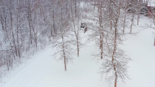 Clearing snow on a rural property with a wheeled bobcat alt